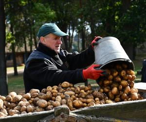 Smaki jesieni w skansenie. Zobacz, co działo się na imprezie w Olsztynku [ZDJĘCIA]