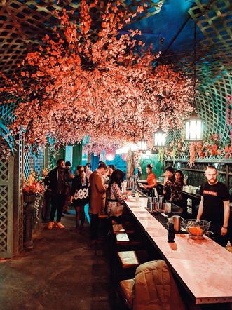Cherry Blossom Bar