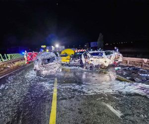 Karambol w Borkowie to największa tragedia od 30 lat.  Strażacy mówią, co zobaczyli po przyjeździe na miejsce wypadku