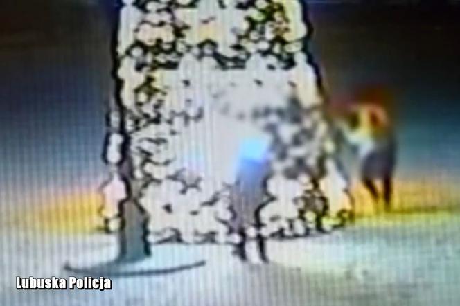 Świąteczna choinka stanęła w płomieniach! Straty wyceniono na kilkadziesiąt tysięcy złotych