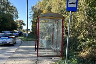 Szedł do szkoły, zmiótł go samochód. Nie żyje 14-latek