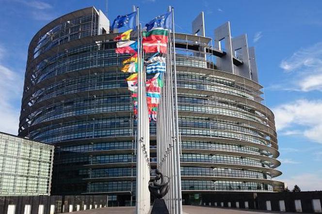 Wybory do Parlamentu Europejskiego 2019: Kto z kujawsko-pomorskiego będzie nas reprezentował w Europie?
