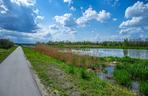 Skawina: malownicza ścieżka rowerowa wzdłuż Kanału Łączańskiego