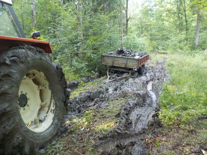 W podbraniewskim lesie odkryto wrak samolotu  pochodzącego z czasów II wojny światowej