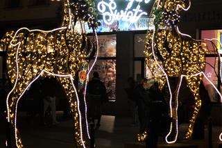 Tu jest jak w bajce! Tak iluminacje świąteczne rozświetlają Bydgoszcz [ZDJĘCIA]