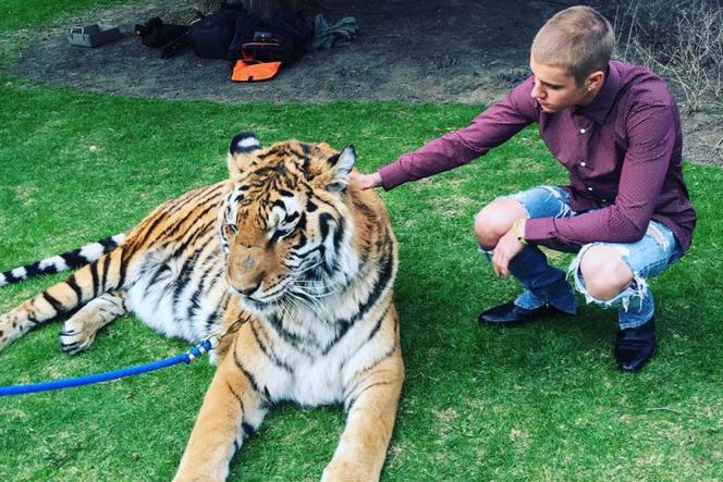 Justin Bieber i tygrys - zdjęcie z serwisu Instagram