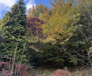 Szczyrk na jesiennych zdjęciach