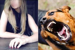 Sfora psów ciężko raniła 18-letnią Weronikę. Wcześniej doszło do innych ataków!
