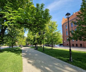 Plac Kościeleckich rozkwita na wiosnę. Bydgoszczanie chętnie wybierają go na spacer