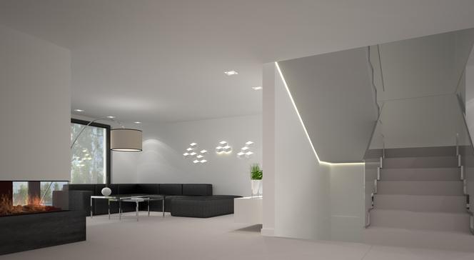 Projekt wnętrza domu w stylu Bauhaus zdjecie 8