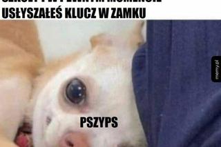 Najlepsze memy na dzień wagarowicza. Wy też urywaliście się z lekcji? 
