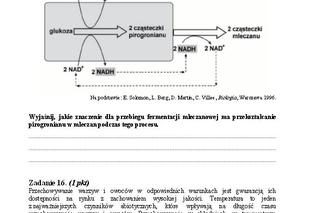 Matura 2013 biologia p. rozszerzony