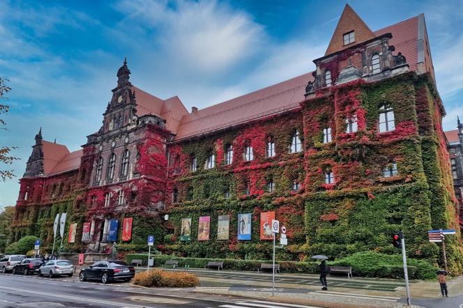 Tutaj złota polska jesień jest najpiękniejsza! Muzeum Narodowe we Wrocławiu aż lśni! [ZDJĘCIA]