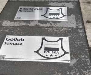 Tablice dla Buśkiewicza i Golloba