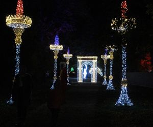 Byliśmy na otwarciu Lumina Park 2024 w Zamku Topacz