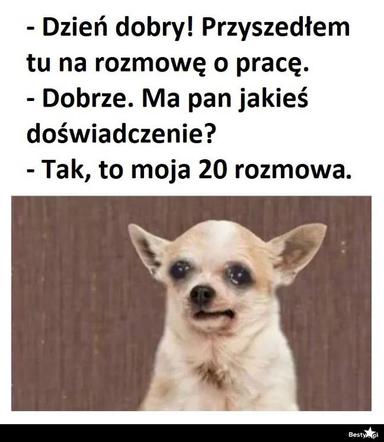 Memy o pracy