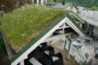„Ogród nad głową” – zielone dachy i żyjące ściany. Innowacyjny projekt dla gmin