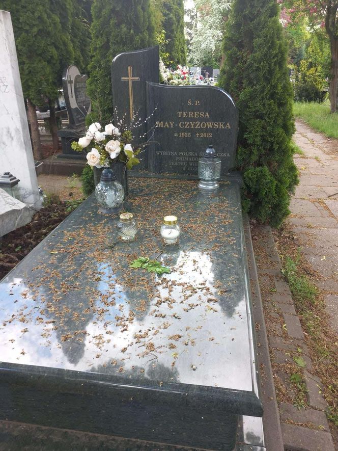 Aleja Zasłużonych Doły