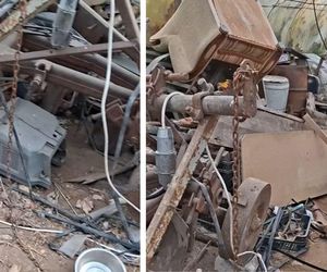 Interwencja OTOZ Animals oddział kujawsko-pomorski