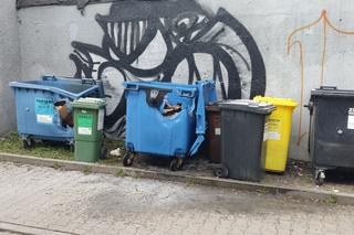 Strażnicy zajmowali się szczurami, złapali seryjnego podpalacza