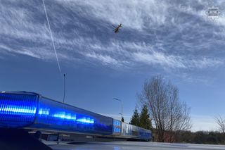 Chłopiec przygnieciony drzewem w lesie pod Tarnowskimi Górami