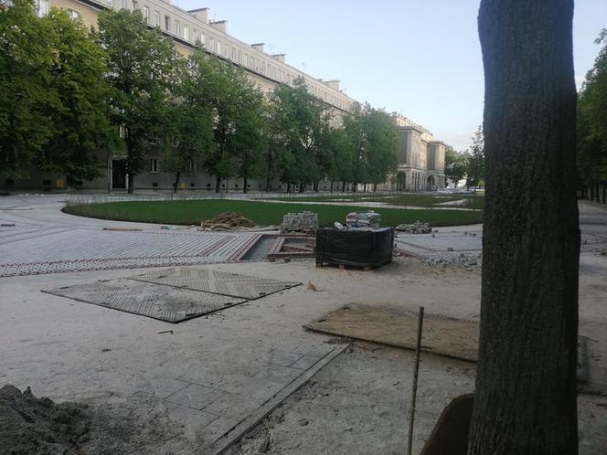 Kraków. Aleja Róż wkrótce w pełni zakwitnie! Prace remontowe są na finiszu