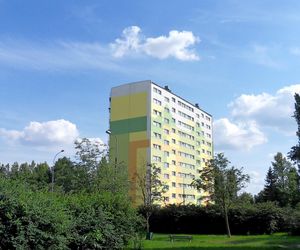 To jedyne osiedle w Łodzi, którego ulice nazwano kiedyś wyłącznie na cześć polskich malarzy. Wystąpiło też w popularnym serialu