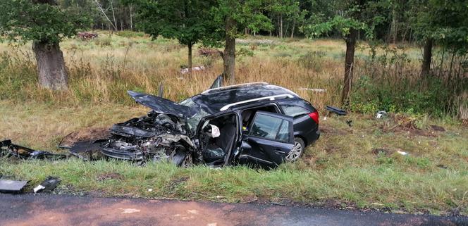 Siedem osób rannych, lądowały trzy śmigłowce. Wypadek pod Lesznem