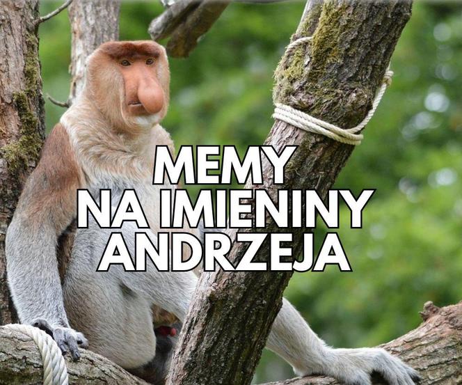 Memy na imieniny Andrzeja