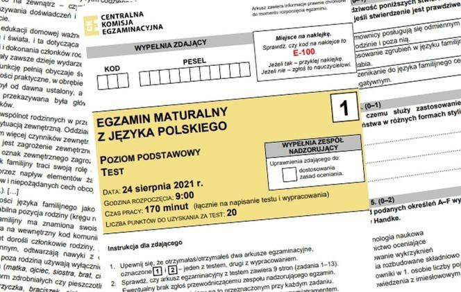 Matura poprawkowa 2021. Język polski: Arkusze CKE, tematy wypracowania, odpowiedzi