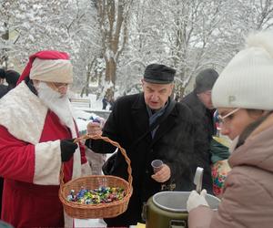 Lubelskiej tradycji stało się zadość. Choinka na LSM-ie już ubrana