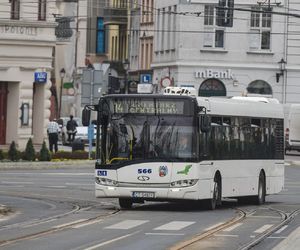 Bezpłatna komunikacja miejska w Toruniu. Autobusy i tramwaje przez 18 godzin za darmo