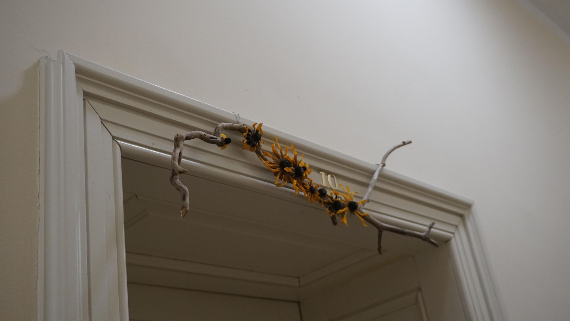 Dwór Czeczów, Stary Bieżanów, Kraków