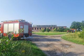 Groźne znalezisko w opuszczonej hitlerowskiej radiostacji w Stanisławowie