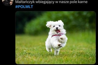 Polska - Malta: Memy i reakcje z internetu