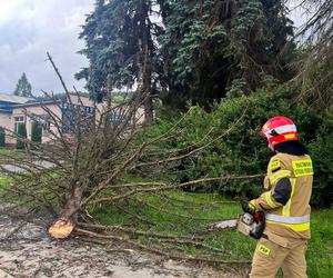 Burze i nawałnice nad Podkarpaciem. Strażacy interweniowali prawie 500 razy [ZDJĘCIA]