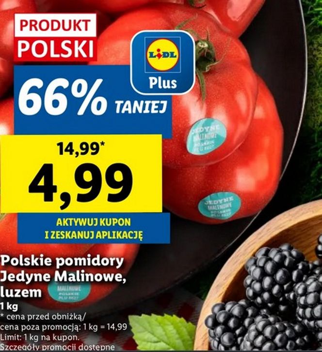  Hitowe promocje w Lidlu