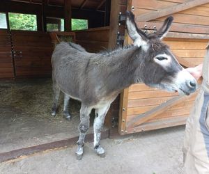 ​Statek dla dzieci w Parku Tysiąclecia w Lesznie odzyska dawny blask. Wymienią stare elementy placu zabaw, dołożą nowe