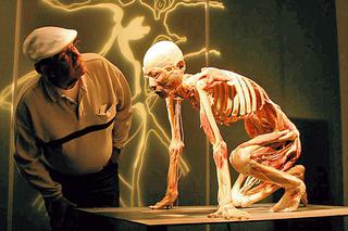 Niezapomniana wędrówka po ludzkim organizmie