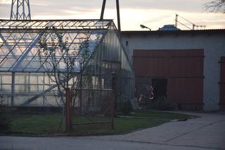 Rozrzutnik zmielił rolnika