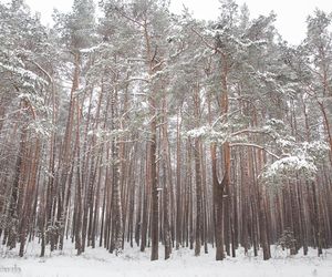 Czarniecka Góra - klimatyczna wieś w Świętokrzyskiem