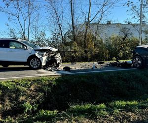 Poważny wypadek pod Mielcem. Czołowe zderzenie forda i hyundaia. 1,5-roczne dziecko zabrał śmigłowiec [ZDJĘCIA]