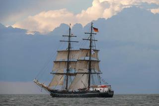 ParadaZagleGdyni2014_FotMZwierz_710389