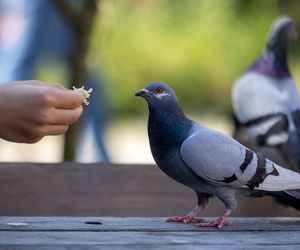 Zakazy w sanatoriach