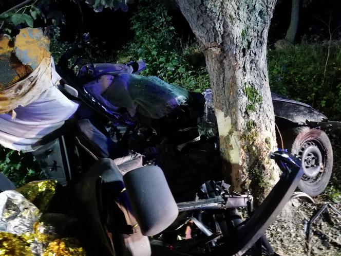 Tragiczny wypadek pod Braniewem. Audi wbiło się w drzewo. Nie żyje 19-latek [ZDJĘCIA]