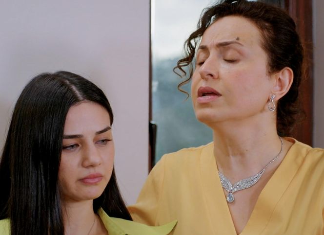 Miłość i nadzieja, odcinek 278. Bahar, Cavidan