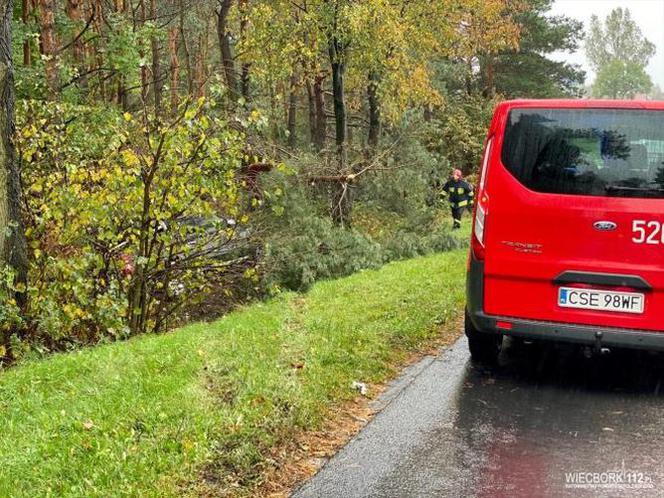 Groźny wypadek w Więcborku! Samochód wypadł z drogi i zatrzymał się na drzewie!