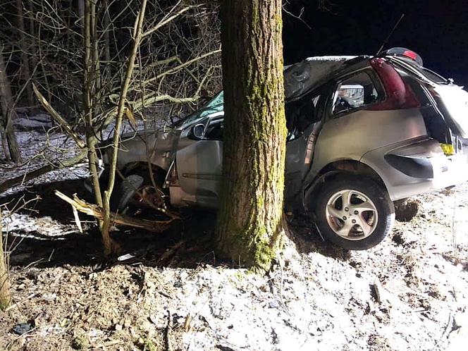 Potrącił psa, myślał, że zabił też sąsiada. Nie zniósł wyrzutów sumienia