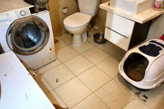 3 lata więzienia grożą mężczyźnie, który usłyszał zarzut znęcania się nad zwierzętami