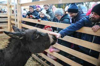 Żywa szopka przed kościołem franciszkanów w Krakowie